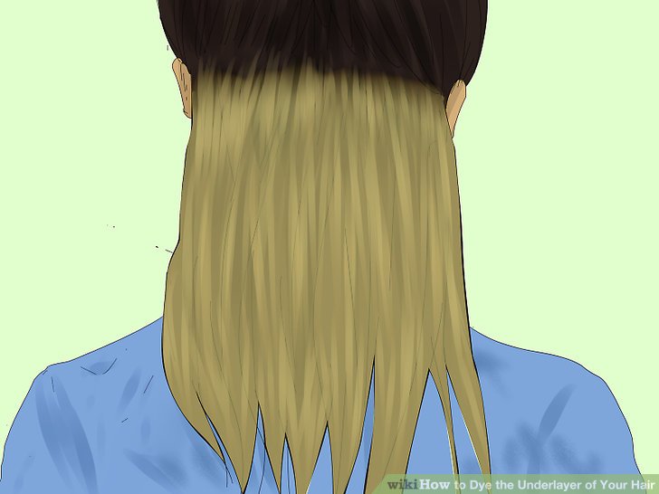 Simple Ways to Dye the Underlayer of Your Hair: 15 Steps